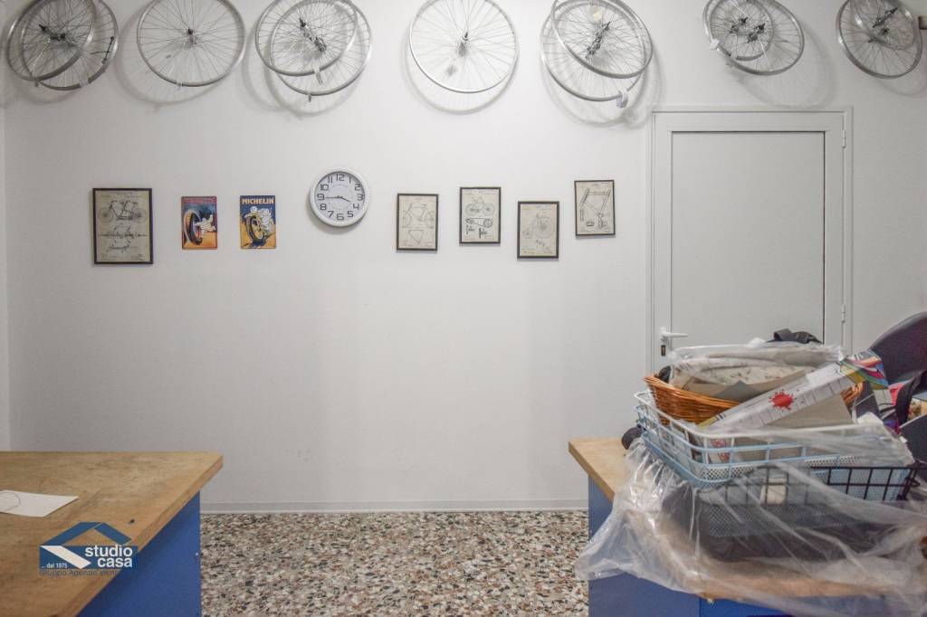 immagine annuncio 1 di 11