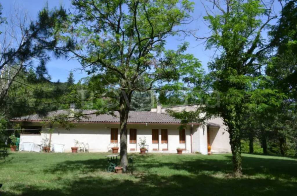 immagine annuncio 4 di 8