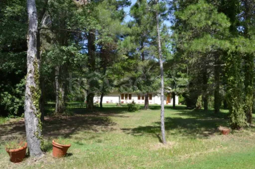 immagine annuncio 7 di 8