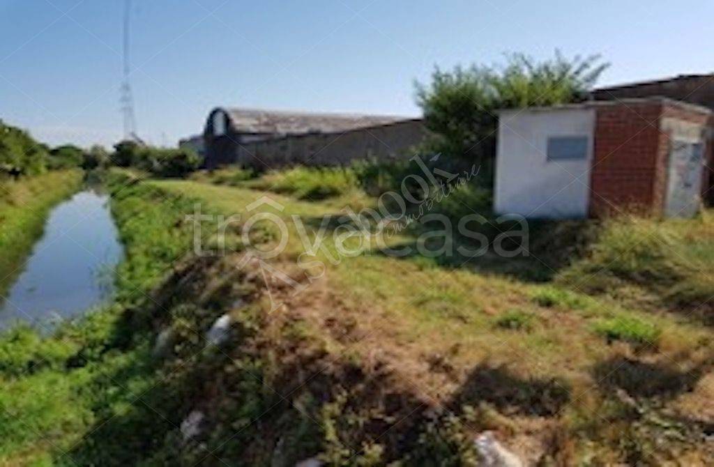 immagine annuncio 10 di 11