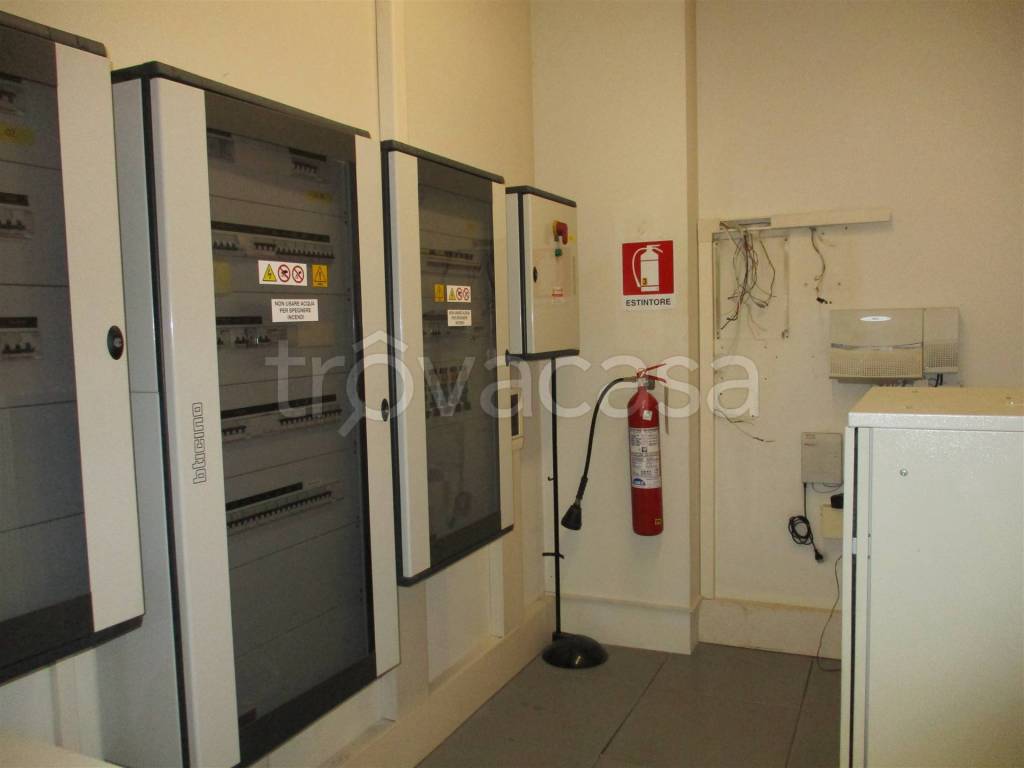 immagine annuncio 9 di 11