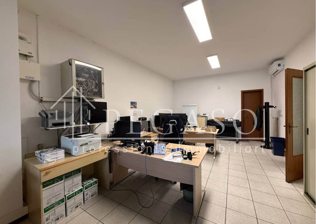 immagine annuncio 6 di 11