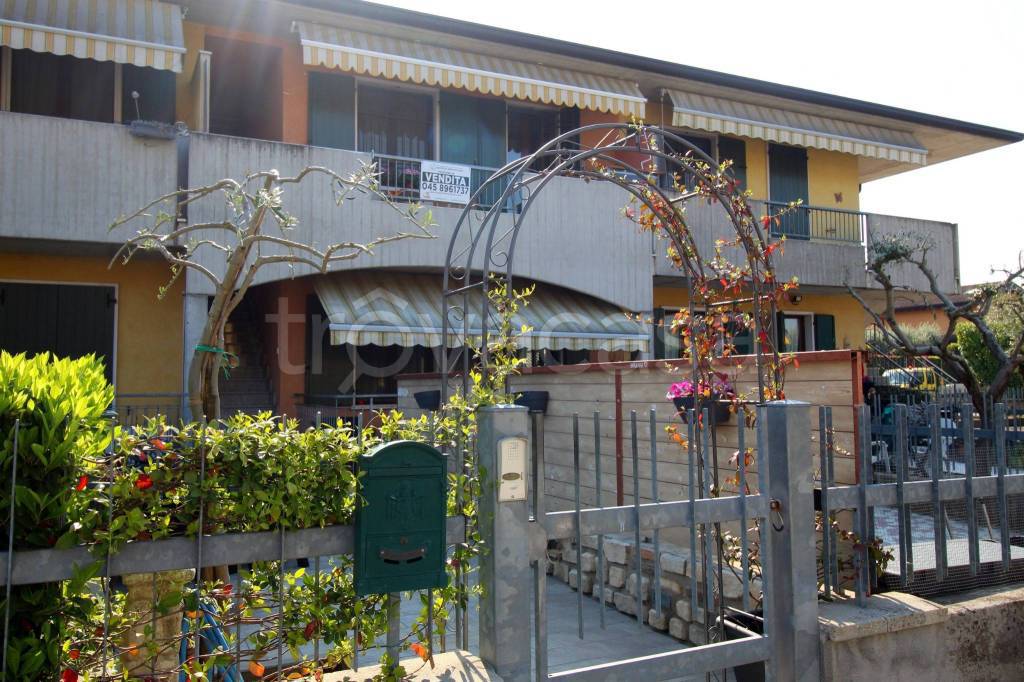immagine annuncio 1 di 15