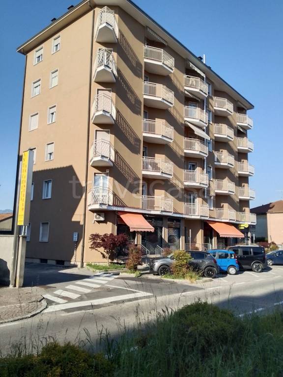 immagine annuncio 9 di 14