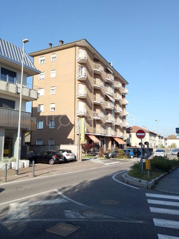 immagine annuncio 11 di 14