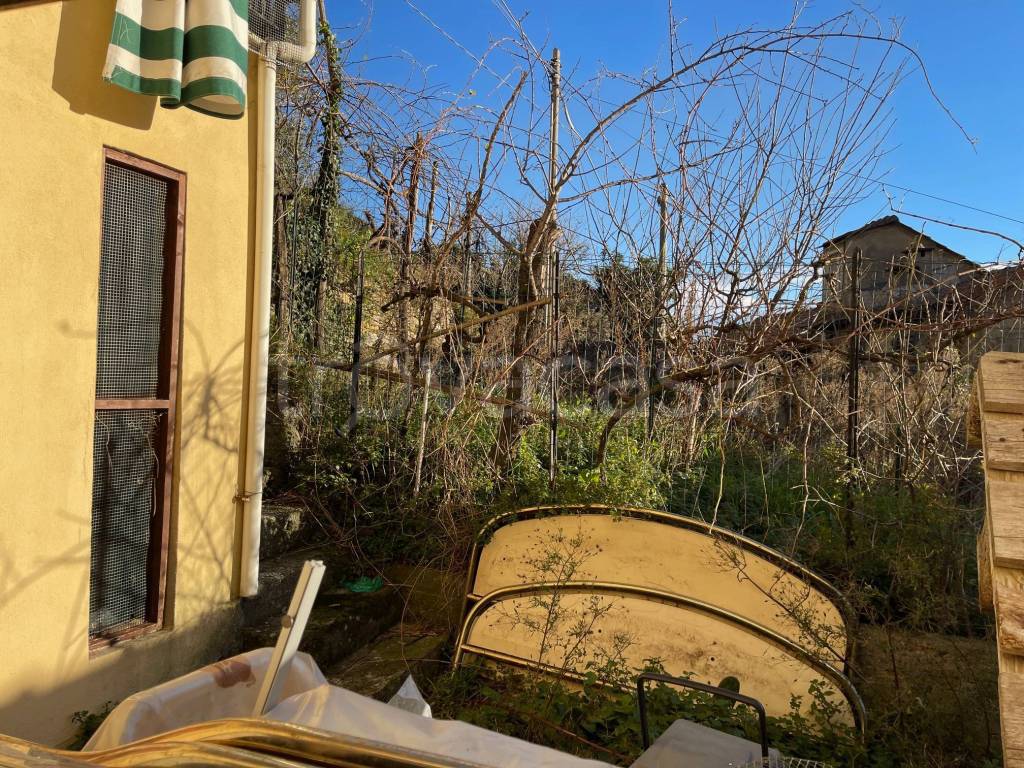 immagine annuncio 7 di 14