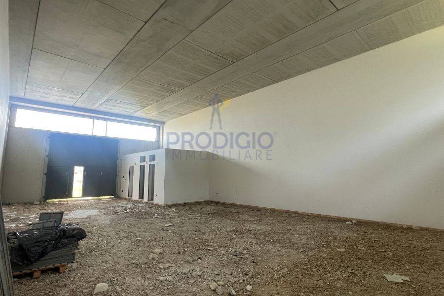 immagine annuncio 3 di 7