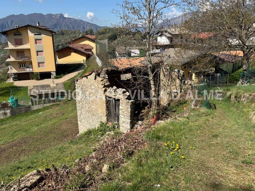 immagine annuncio 1 di 7
