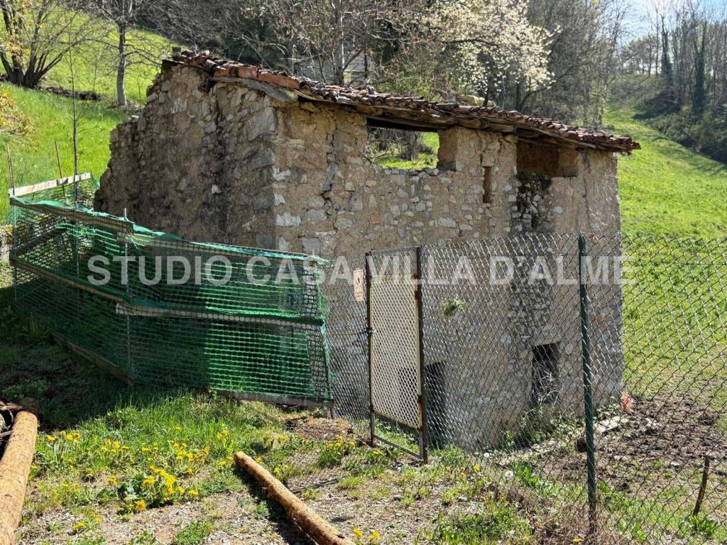 immagine annuncio 2 di 7