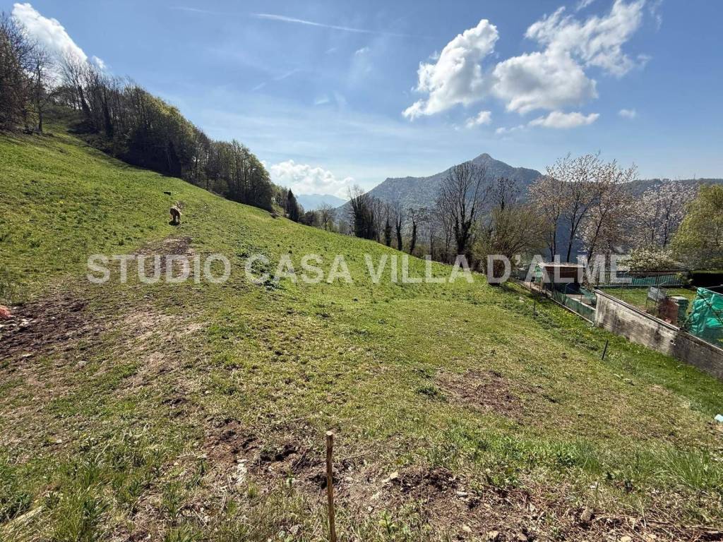 immagine annuncio 5 di 7
