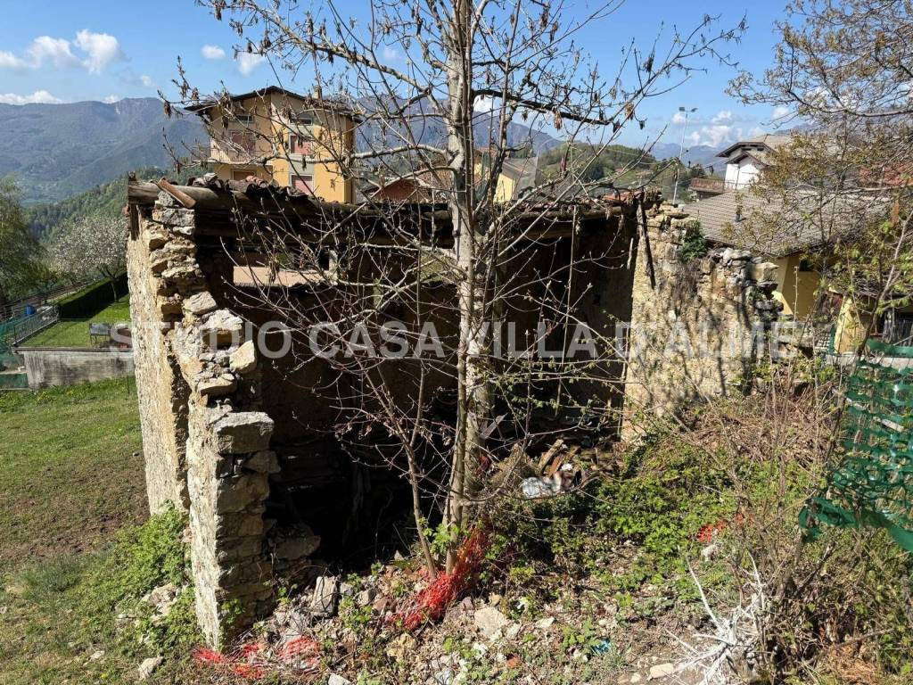 immagine annuncio 6 di 7