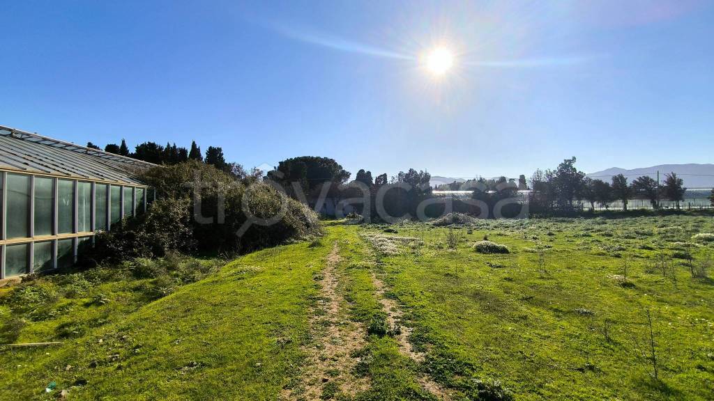 immagine annuncio 2 di 11