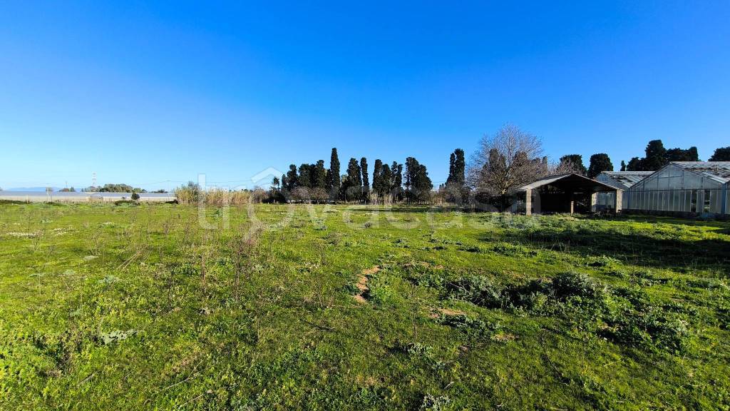 immagine annuncio 9 di 11