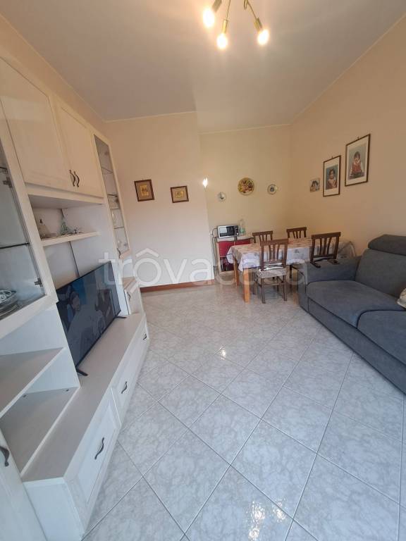 immagine annuncio 2 di 14