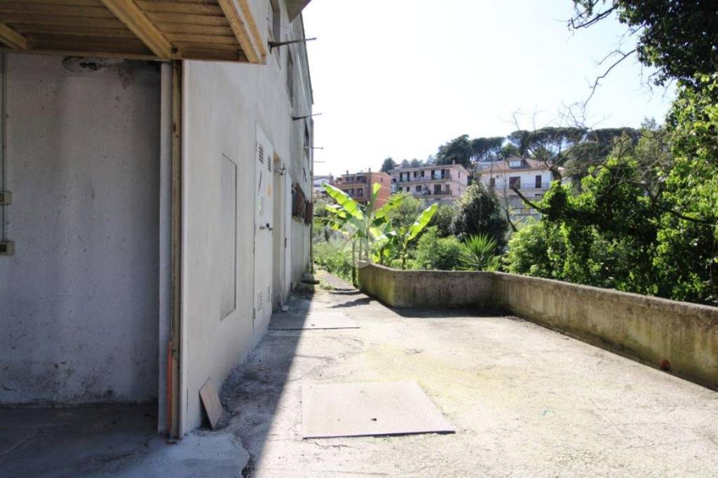 immagine annuncio 4 di 7