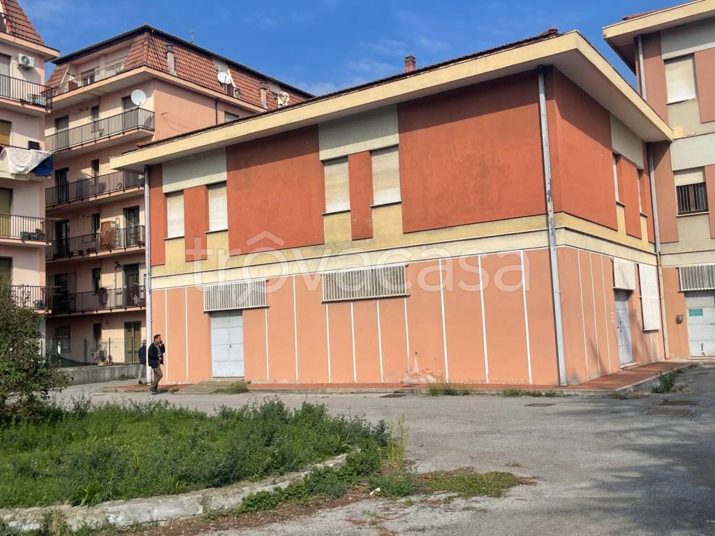 immagine annuncio 10 di 15