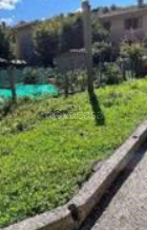 immagine annuncio 11 di 13