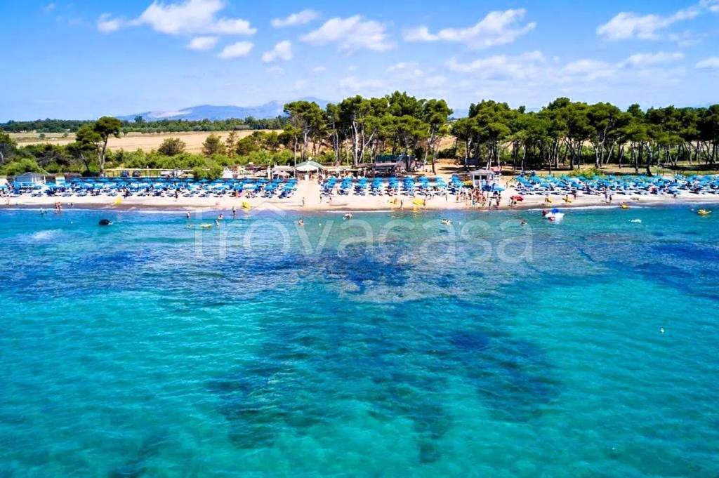 immagine annuncio 10 di 11