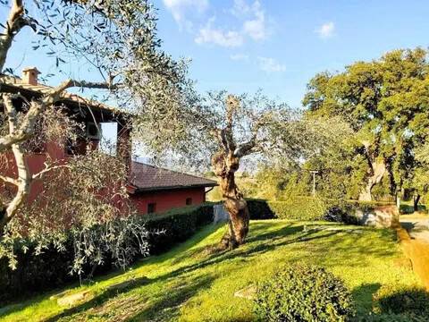 immagine annuncio 1 di 12