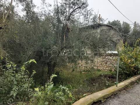 immagine annuncio 1 di 6