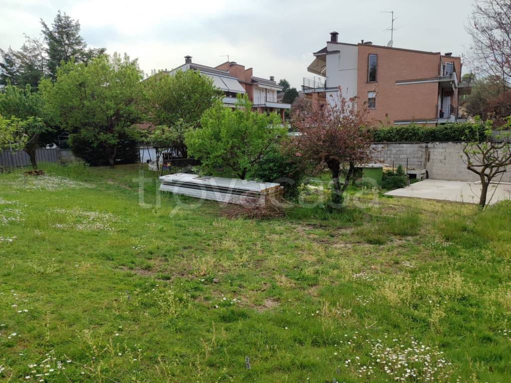 immagine annuncio 3 di 6