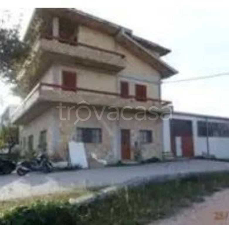 immagine annuncio 9 di 13