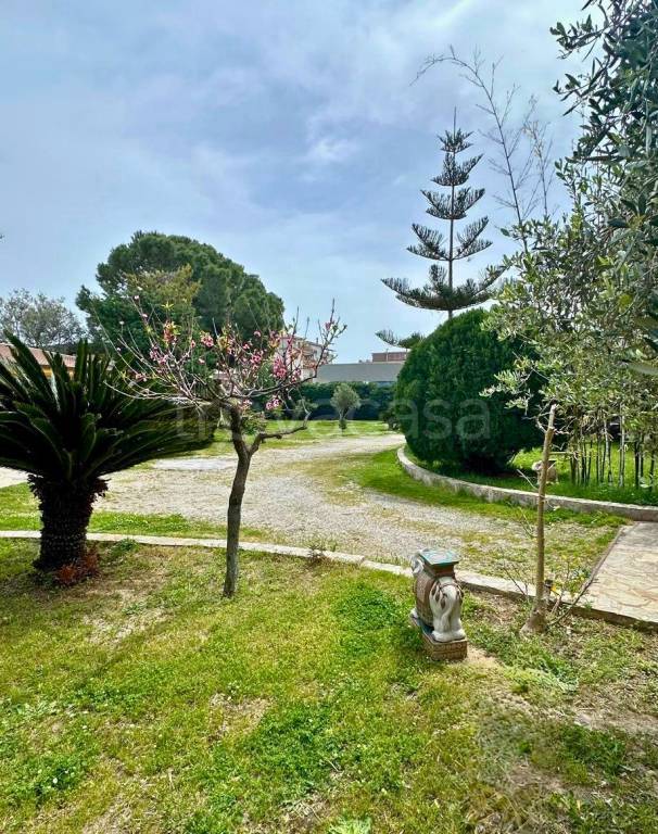 immagine annuncio 1 di 14