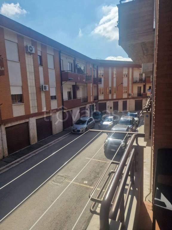 immagine annuncio 10 di 13
