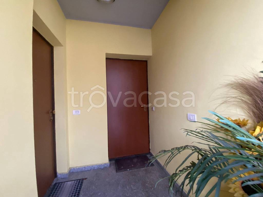 immagine annuncio 10 di 14