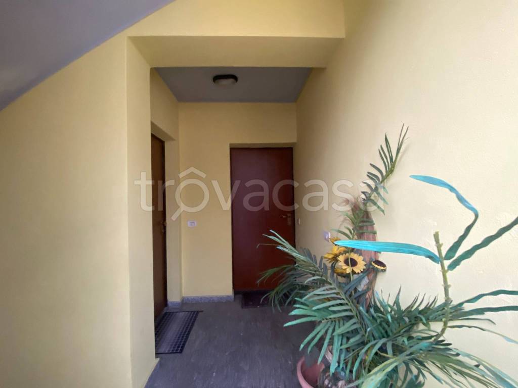 immagine annuncio 11 di 14