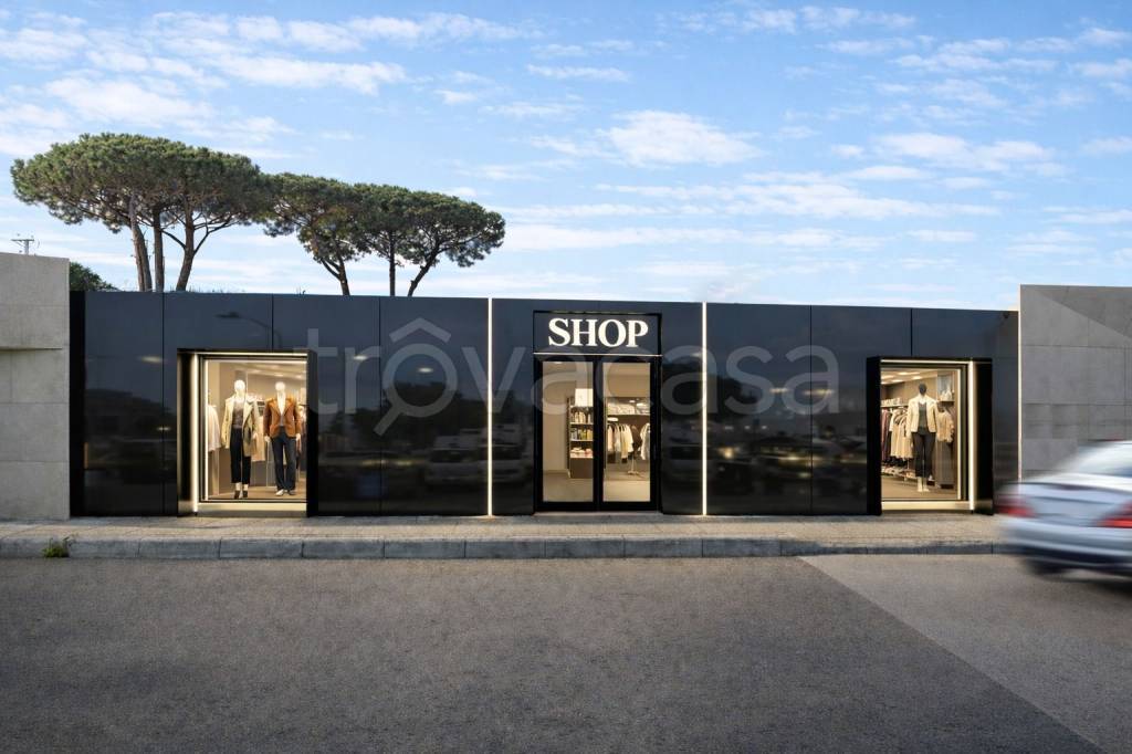 immagine annuncio 2 di 12