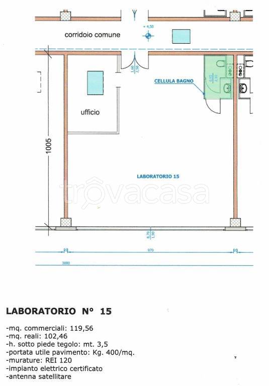 immagine annuncio 13 di 15