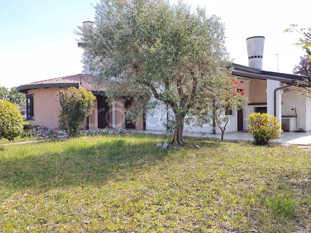 immagine annuncio 5 di 11
