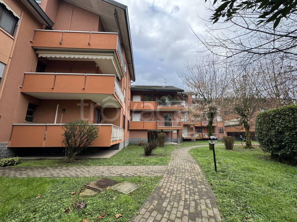 immagine annuncio 10 di 12
