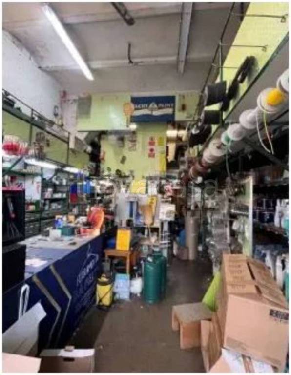 immagine annuncio 4 di 10