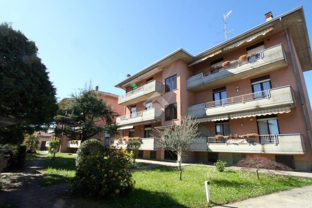 immagine annuncio 3 di 14