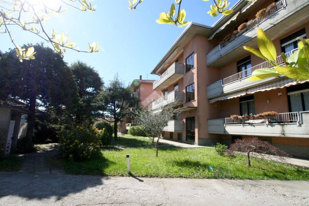 immagine annuncio 13 di 14