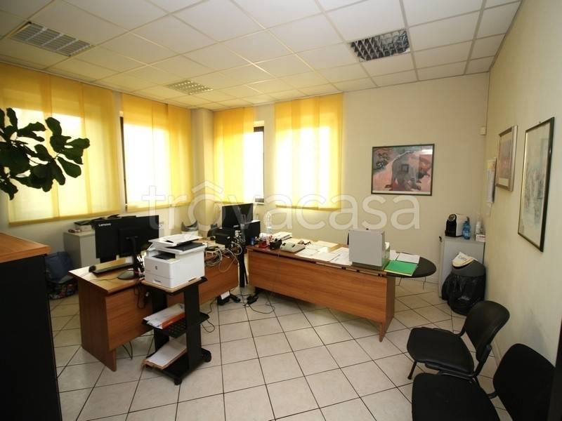 immagine annuncio 5 di 14