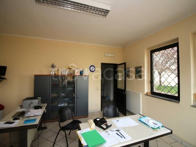 immagine annuncio 9 di 14