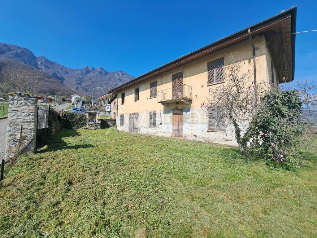 immagine annuncio 1 di 14