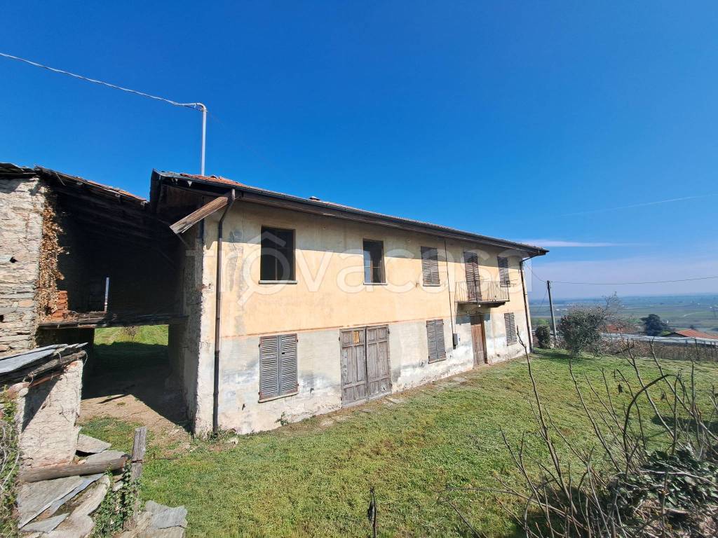 immagine annuncio 3 di 14