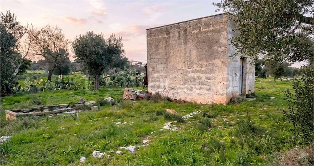 immagine annuncio 3 di 9
