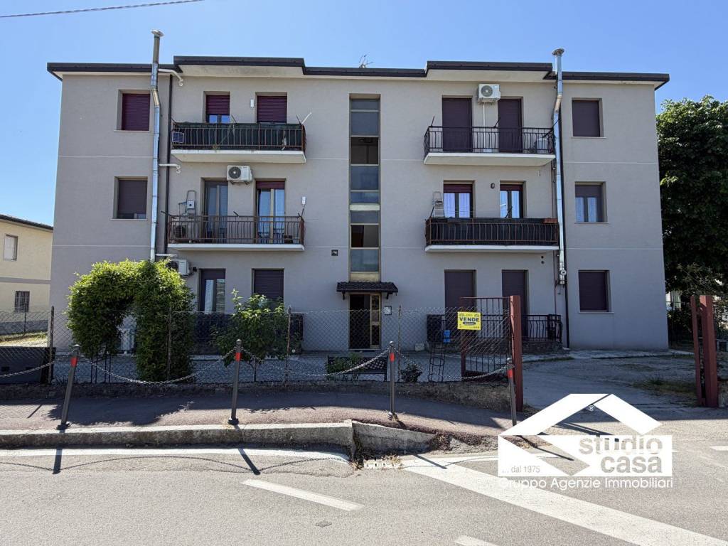 immagine annuncio 1 di 6