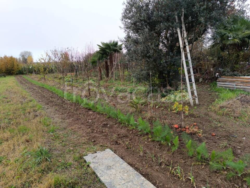 immagine annuncio 7 di 12