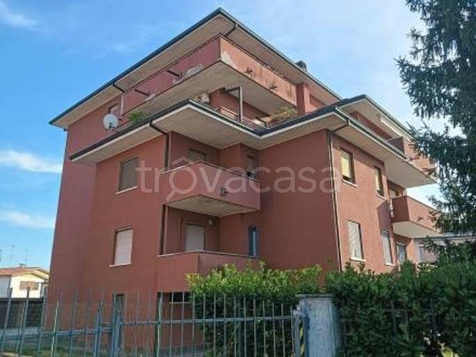 immagine annuncio 1 di 12