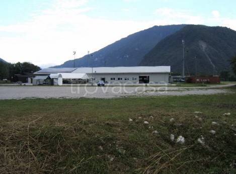 immagine annuncio 3 di 9
