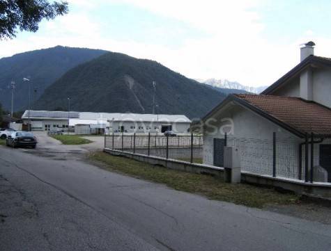 immagine annuncio 6 di 9