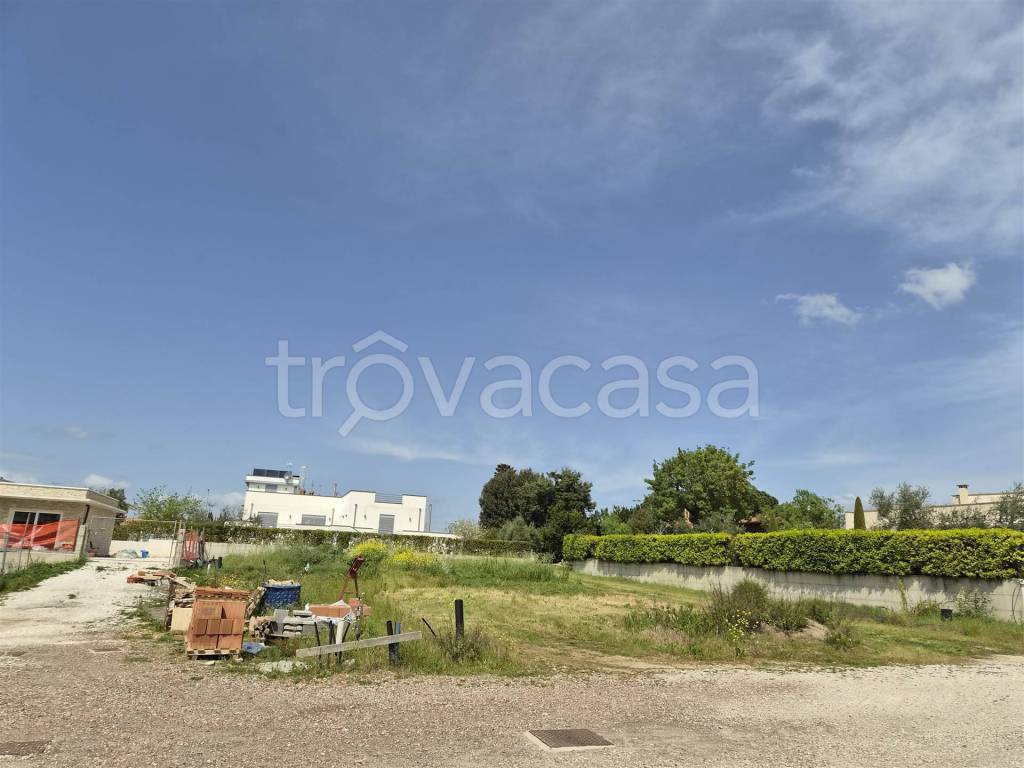 immagine annuncio 4 di 9