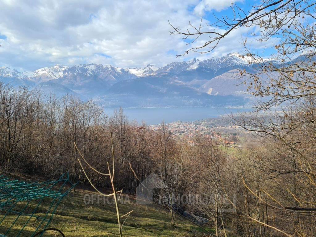 immagine annuncio 1 di 14