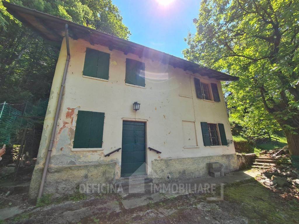 immagine annuncio 4 di 14